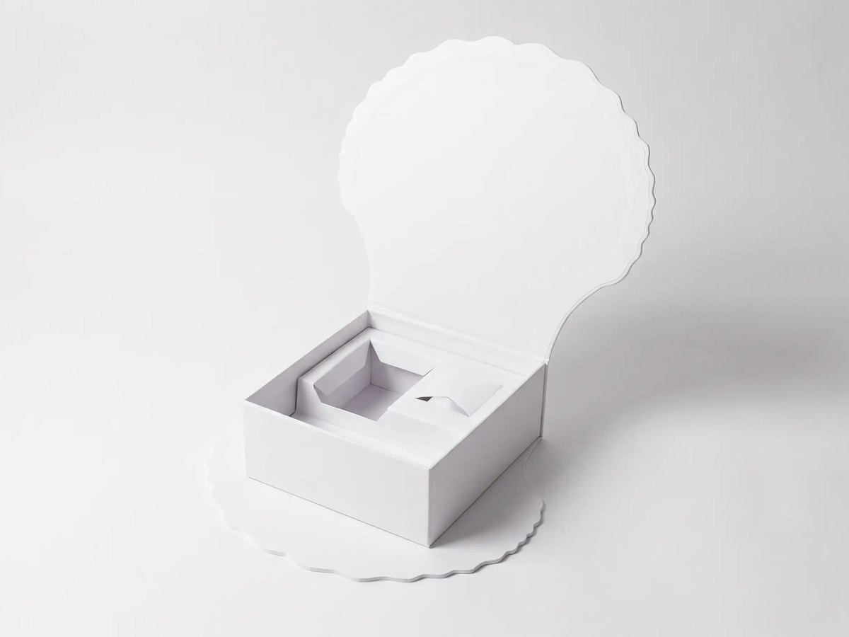 Shell-shaped box